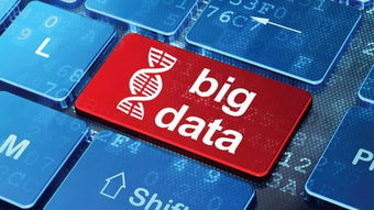 大數(shù)據(jù)死生劫 行業(yè)冰火兩重天